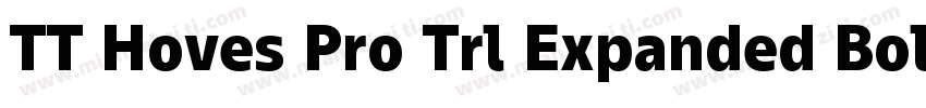 TT Hoves Pro Trl Expanded Bold字体转换